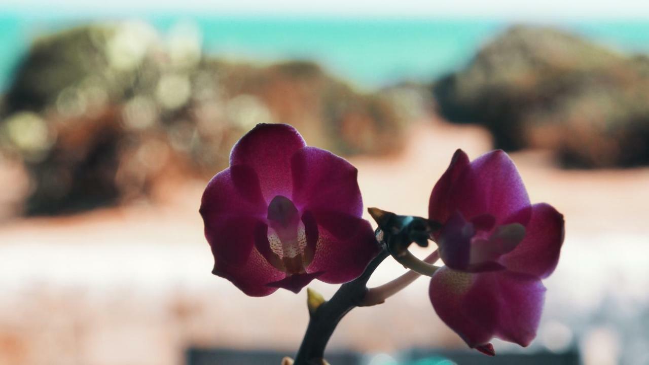 Rosa Marina Villa Scicli Bagian luar foto